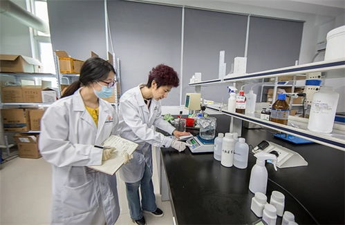抓品質(zhì)重服務(wù)，海智生物專注品質(zhì)，倚夢(mèng)前行
