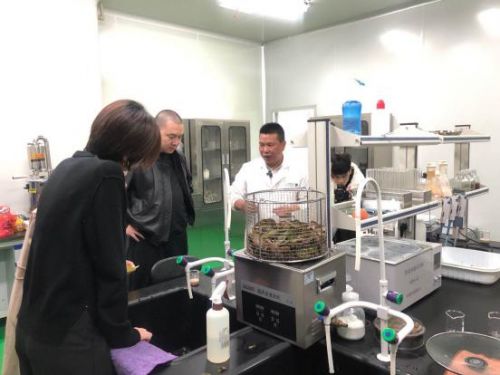 科技賦能農(nóng)業(yè)新篇章 CCTV 1聚焦云谷田園LED植物工廠，珍稀本草金線蓮成功培育引領(lǐng)生物技術(shù)新服務(wù)